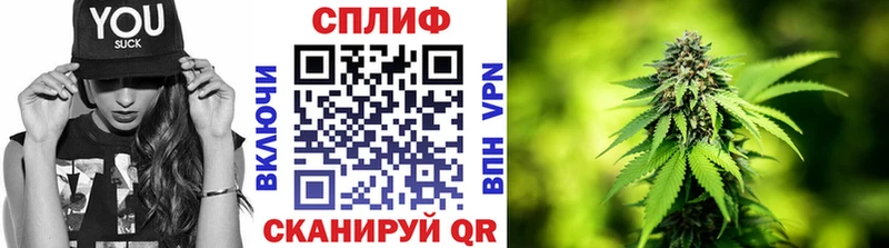 МАРИХУАНА планчик  Ростов 